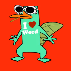 Baked Platypus #316