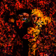 9802783201186767242825870403262100009893299197682857552119950795884919259137