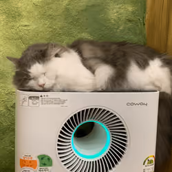 Sleeping Beauty 7
