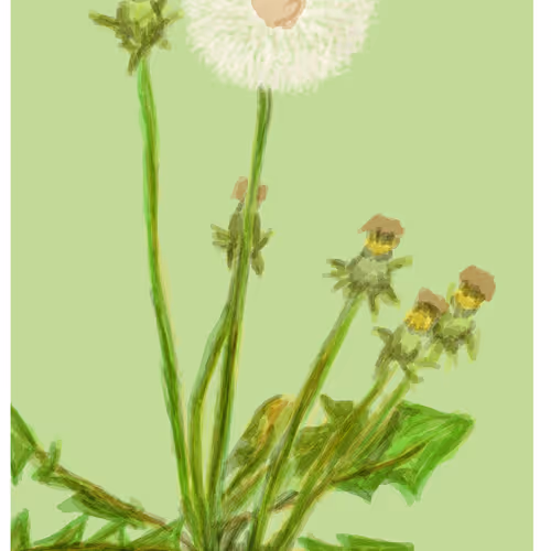 Untitled Collection #3471217970