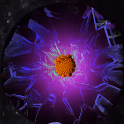 67686649945813211142348116383551297901422610875826896463266851526545254645761