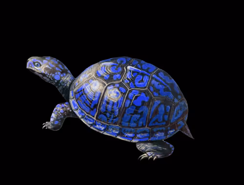 Item #46623402417646879308353596173636630178895824236728347706261571642444967051265 Media