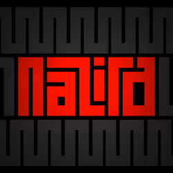 16299965594125679084215638819284828615600716619750483311007834639885538426881