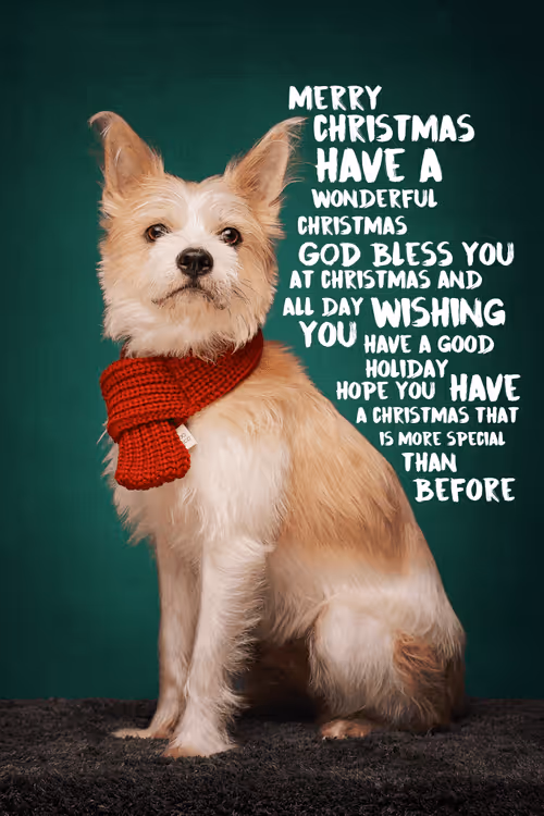 Item #8036610274517614856282005705215780499318604713549687172679363393921344339970 Media