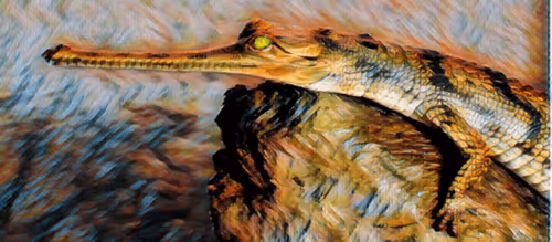 Item #5268166588450870648624449421433370993939742768172324454239271387809101905921 Media