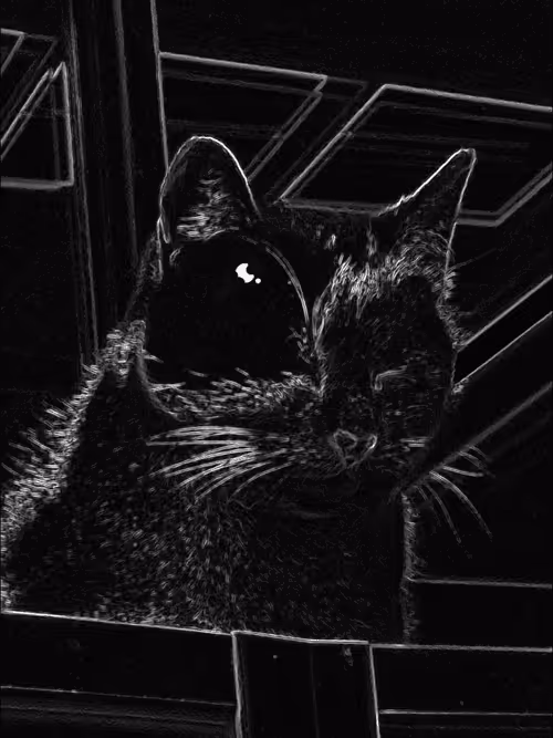 Item #28863644346887406121334048118409569741835316109588449396452983082445600466704 Media