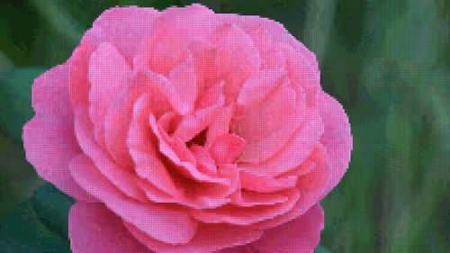 Item #75866091947728652238534111254584504918190435733442380629681527392232372436993 Media