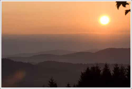 Nature Photographer 177169894