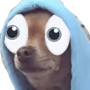 The Suspicious Dog #3