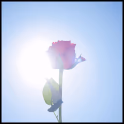 65735283901235411095565859455791530090015704811558660765095343382004387282953