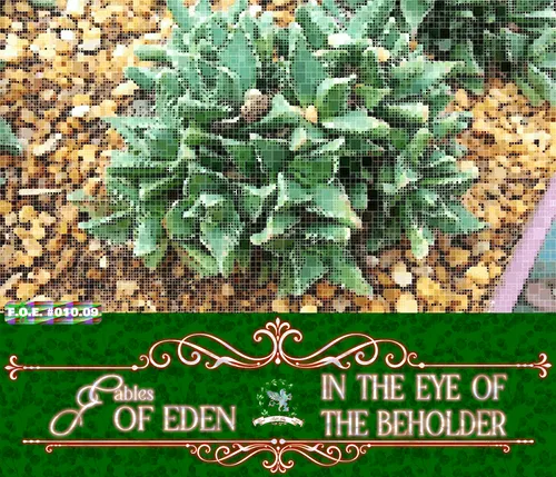 Item #111848979152032696048250741203495729991903103051508547843647447433216167772161 Media