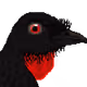 37818792076004032002526509345048706370497292480243483587417114911952584310785