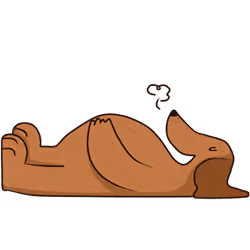 DOGE DOGY series 40/8