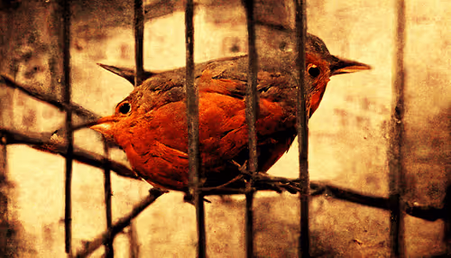 Item #39295705824730267596147944970714894039864715117808684556238668536704407699457 Media