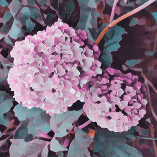 Item #43190579806433981010774040212734353374582811192863113586455236125403700527105 Media