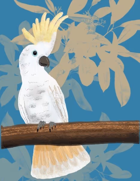 Item #12338872965748960330777031479598626524487181570575812676954416082026632314935 Media