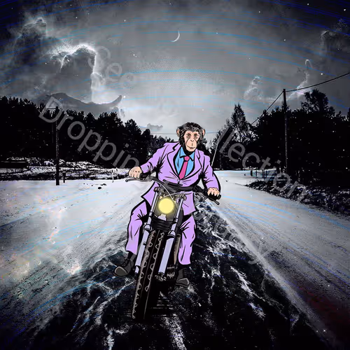 Item #47874867751526628155797452306133556848215200945705608572458384040073787080705 Media