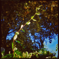 3787080761074609709675817509753112159059746763483256848434353767803128905729