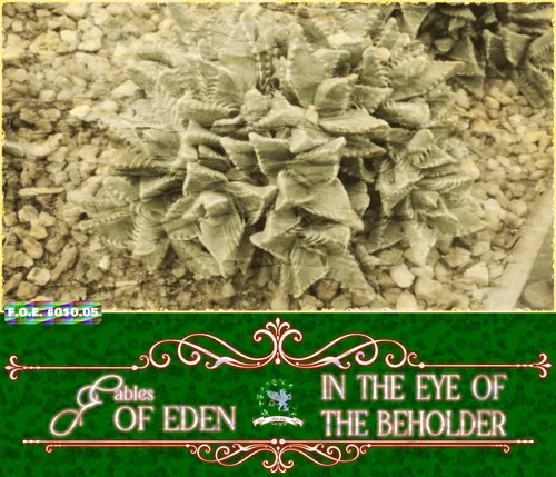 Item #111848979152032696048250741203495729991903103051508547843647447428818121261057 Media