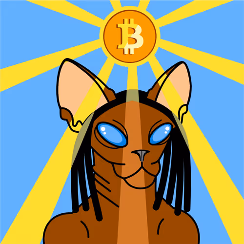 Crypto Sphinx Cat #10
