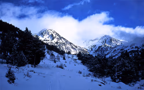 Item #61601413983432262200822046408210296549184035160504594584973518313881314787378 Media