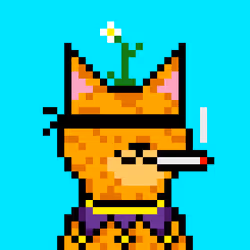 90563394352690505221166821639831502595964177235090668543198269721390268547073