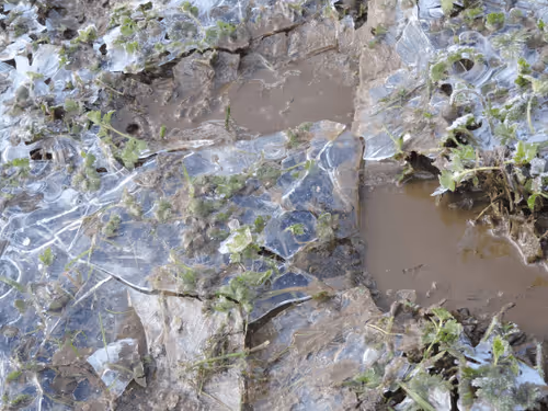 Item #89920856757194628000258150998357040156996327408238699748869644737332062978049 Media