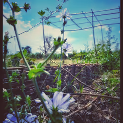 3787080761074609709675817509753112159059746763483256848434353950322059116545