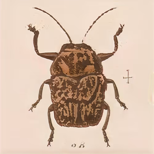 Item #58241160855422744817468407088196322100109565521561100950236904505750134456321 Media