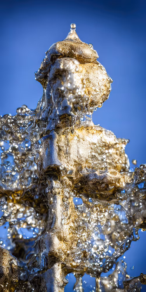 Item #53204195999668057401361450590388499232587888718751066529720239255416316362753 Media