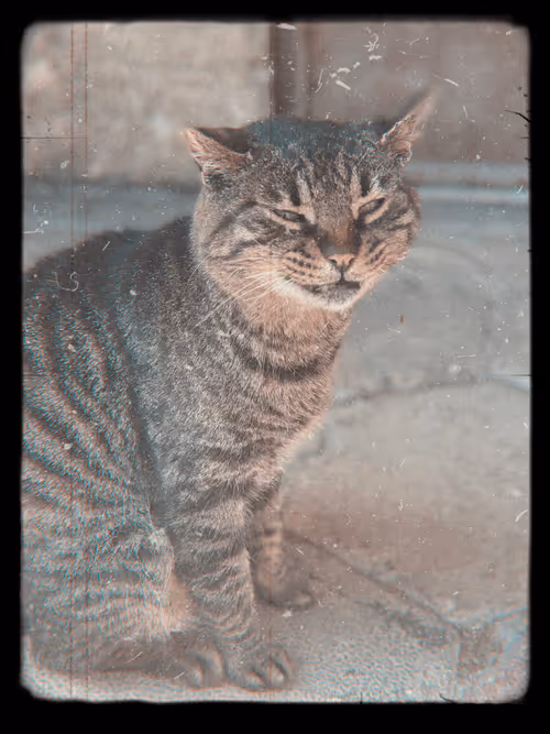 Item #102650025238985064889532626323507420633017859616961165632132729681324338577409 Media