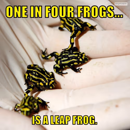 Item #50019202249894892371434277918318181364623497082798944916930856164252341764097 Media