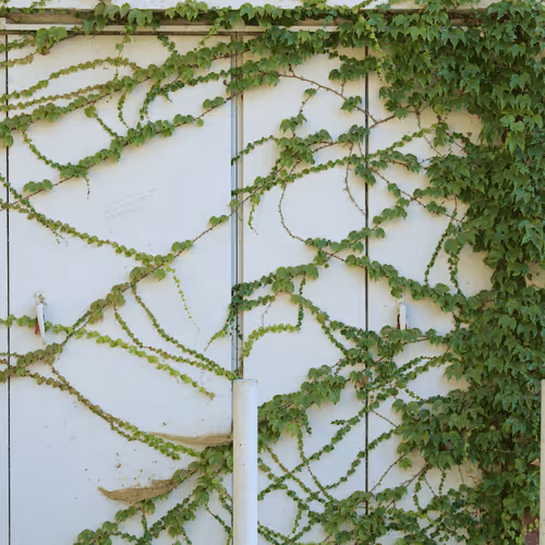 Item #63469761567061717341732170854689072472341875368113613158341509138152276623361 Media