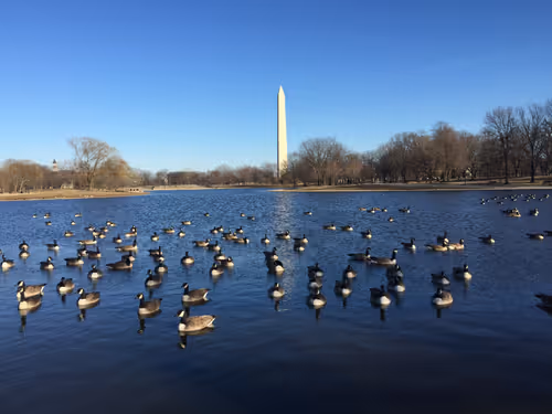 Item #68992994871678840230737782920192836034454221596587270053419323760369261871105 Media