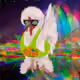111235621689691517230300844024187120434542251818469949012456156803612547219457