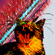 110666276841203596158287506744989771636124593017889415675518719508930459860993