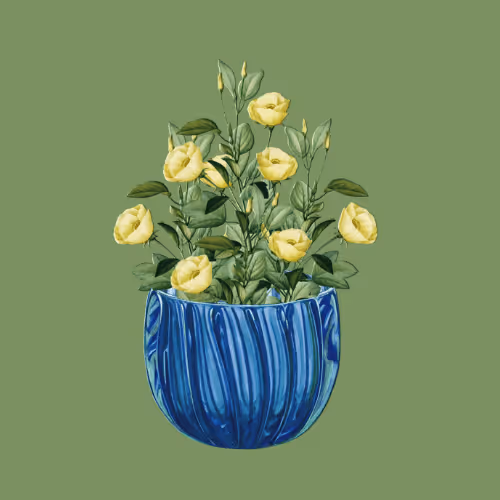 Item #11345277294321805490950982682706921649721953038596019142075108521376317702145 Media