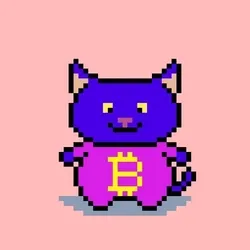 Tubby Cat #2366