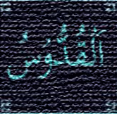 Item #9870712659892193882855004532084993354554390457465524743425110155013813960705 Media