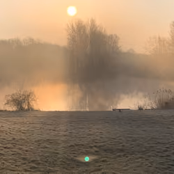Morning Light