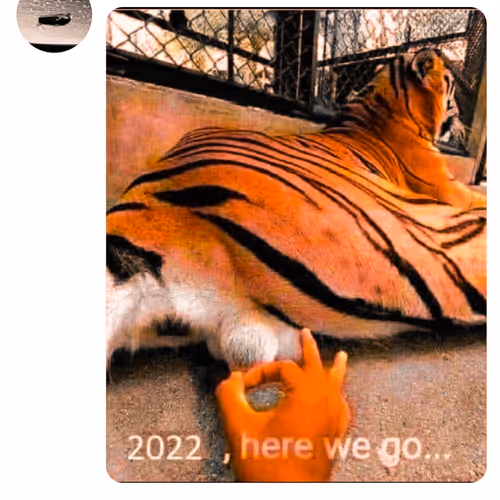 sagarnadeem Collection