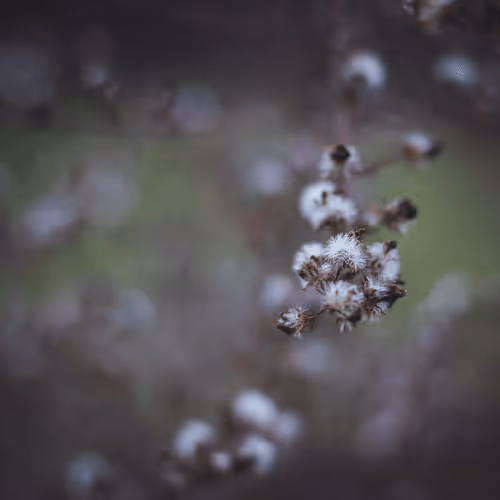 Item #108333172836631629328696584714053398631603269563571358519615745310816661929985 Media