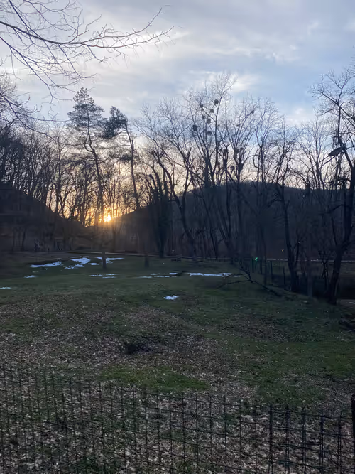 Item #112339910633504213728399095396539794001498957643170945361235603259201930919937 Media