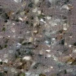 51505744279772251808310948570193708993242265706659681932624859495731948421121