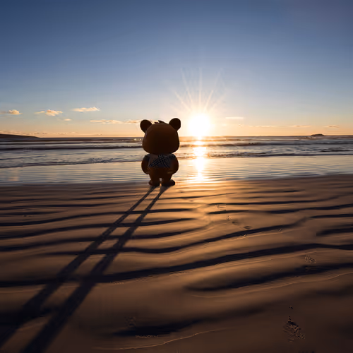 Item #59257202494255600750643221345103503476619218682876027174124337736717191610369 Media