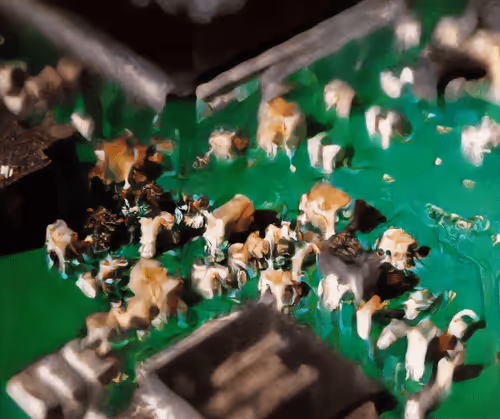 Item #38834561251356724668154855185973556037142836514567249766560150870096842063873 Media