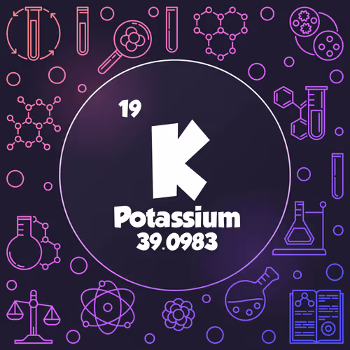 Item #24539137871198850964947623123331476015304318592780498584148117840473500942361 Media