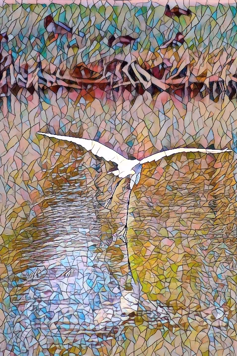 Item #32733674861489650832352945143157041569592525552396925725669160665253851168769 Media