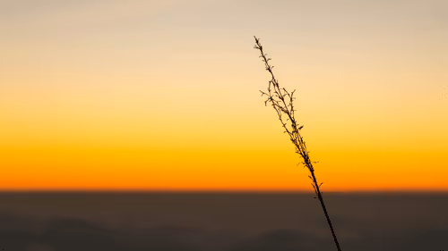 Item #41016340276136272437593840825708258407037396830717987725794146107392914358273 Media