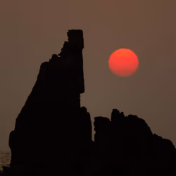 SUN Captures 